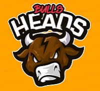 BullsHeads team badge