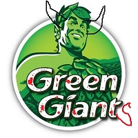 Green Giants team badge
