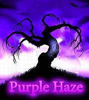Purple Haze team badge